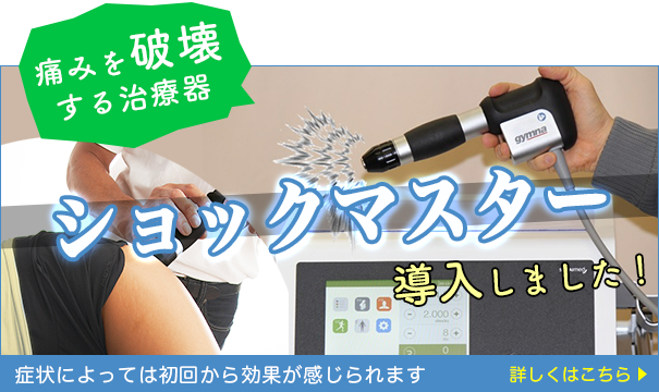 岡崎市の接骨院 ひな接骨院 腰痛 肩の痛み 交通事故の治療なら